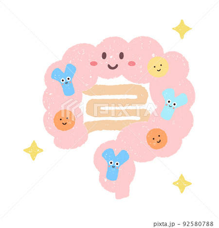 笑顔の腸内とビフィズス菌 92580788