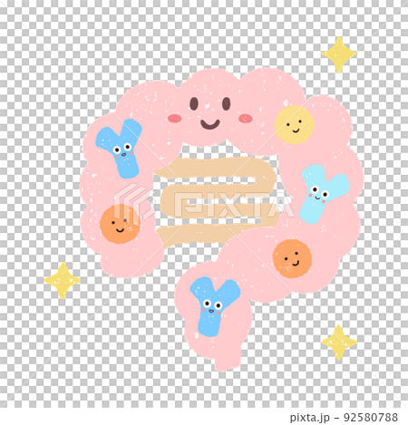 笑顔の腸内とビフィズス菌 92580788