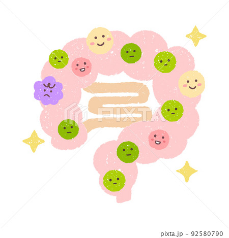 理想のバランスの腸内細菌 理想のバランスの腸内細菌 92580790