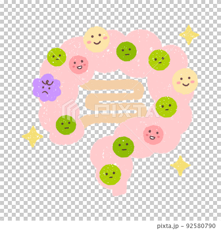 理想のバランスの腸内細菌 理想のバランスの腸内細菌 92580790