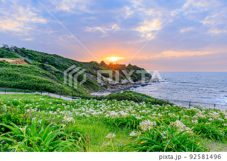 夕日とはまゆう 夏井ヶ浜 福岡県芦屋町 夕日とはまゆう 夏井ヶ浜 福岡県芦屋町 92581496