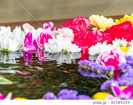 初夏の景色 美しく涼しげな花手水 初夏の景色 美しく涼しげな花手水 92584334