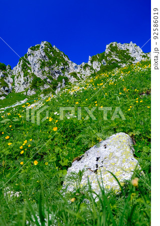 岩峰と高山植物（縦） 92586019