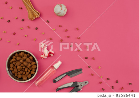 Accessories for the grooming of the dog. Combs and brushes for dogs. Top view 92586441