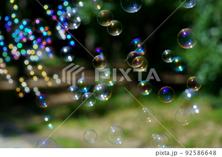 公園の森でシャボン玉遊び 92586648