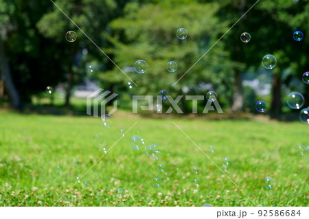 緑の芝でシャボン玉遊び 92586684