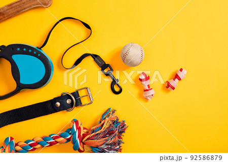 Toys -multi coloured rope, ball, leather leash and bone. Accessories for play and training on yellow background top view Toys -multi coloured rope, ball, leather leash and bone. Accessories for play and training on yellow background top view 92586879