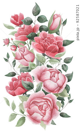 Watercolor flowers. Floral illustrations, leaves and branches. Watercolor flowers. Floral illustrations, leaves and branches. 92587021