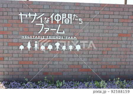 埼玉県深谷市 深谷テラスヤサイな仲間たちファーム 埼玉県深谷市 深谷テラスヤサイな仲間たちファーム 92588159