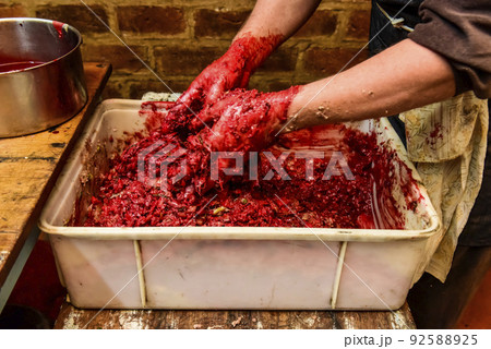 Handmade blood sausage preparation, Argentine tradition, Pampas, Patagonia 92588925