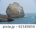 青森県八戸市種差海岸の白岩（明神岩） 92589856