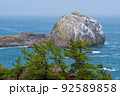 青森県八戸市種差海岸の白岩（明神岩） 92589858