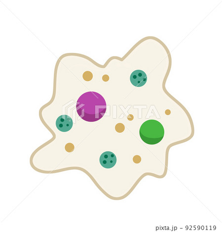 Amoeba cell. Small unicellular animal. Virus and bacteria. Amoeba cell. Small unicellular animal. Virus and bacteria. 92590119
