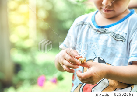 Curious little kid with snail in hand 92592668
