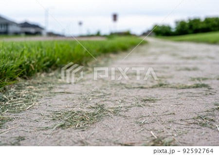 Grass clippings strewn across a residential sidewalk after mowing. Grass clippings strewn across a residential sidewalk after mowing. 92592764