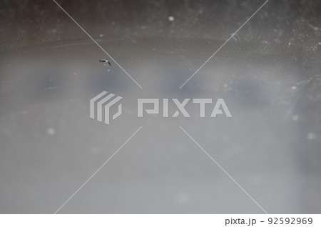 Chip in the glass windshield of a vehicle. Chip in the glass windshield of a vehicle. 92592969