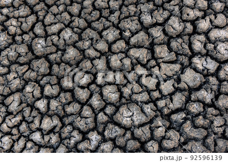 Cracked dry soil, Patagonia, Argentina 92596139