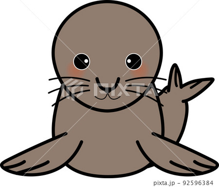 かわいいアシカ 92596384