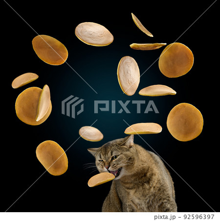 Round baked traditional pancakes levitate 92596397