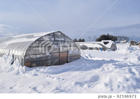 豪雪地方のビニールハウス 92596973
