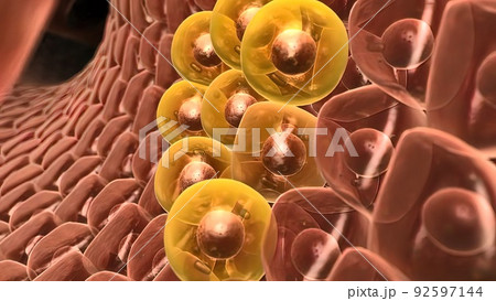 Hepastem - increase of healthy cells in liver 92597144
