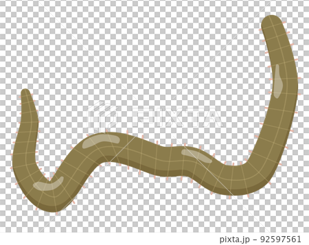 異構酶 異構酶 92597561