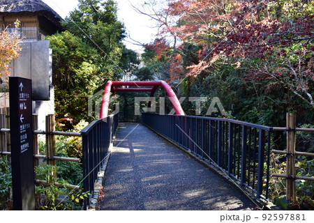湯河原町 万葉公園湯河原惣湯玄関テラス横の周遊路と鮮やかな紅葉 湯河原町 万葉公園湯河原惣湯玄関テラス横の周遊路と鮮やかな紅葉 92597881