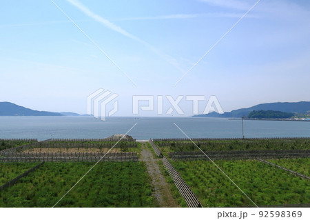 道の駅高田松原の景観 道の駅高田松原の景観 92598369