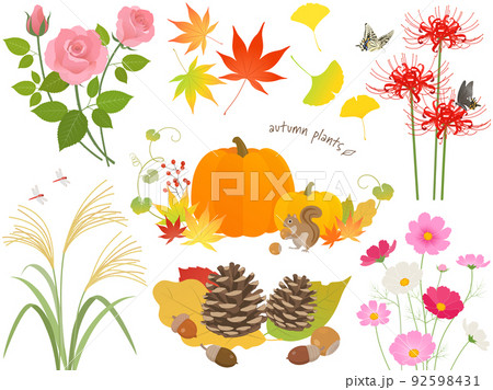 秋の紅葉と植物セット  92598431