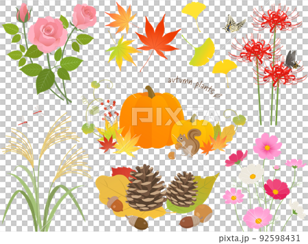Autumn leaves and plant set 92598431