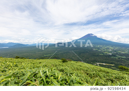 竜ヶ岳から見る富士山と青木ヶ原の樹海 竜ヶ岳から見る富士山と青木ヶ原の樹海 92598434