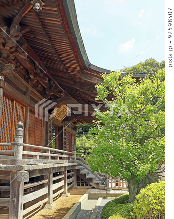吹上観音東明寺(和光) 吹上観音東明寺(和光) 92598507