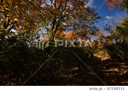 氷ノ山の紅葉 氷ノ山の紅葉 92598531