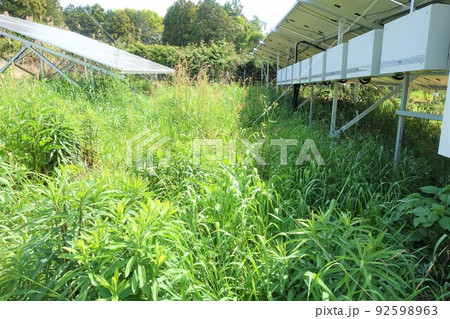 パワコンが並ぶ雑草が生えた太陽光発電所 パワコンが並ぶ雑草が生えた太陽光発電所 92598963