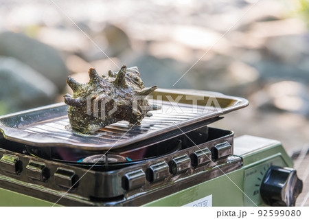 【オートキャンプ場でソロキャンプ　サザエを焼く】 92599080