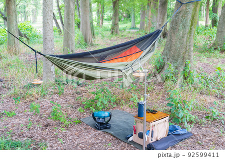 雑木林でハンモックを吊るす 92599411