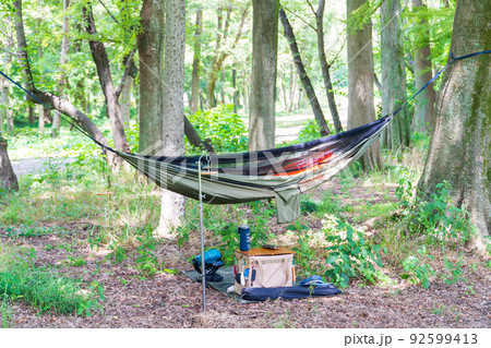 雑木林でハンモックを吊るす 92599413