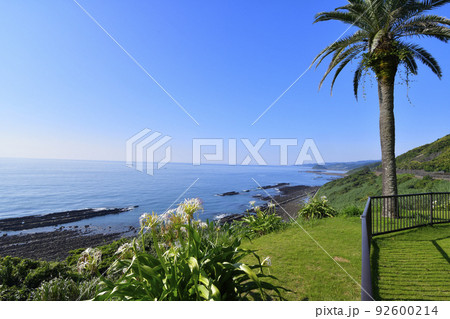 宮崎県堀切峠の朝 92600214