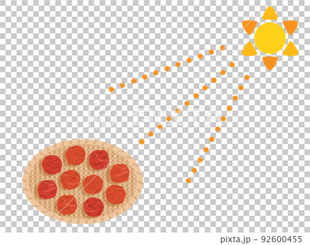Illustration that imaged the sun-dried umeboshi 92600455