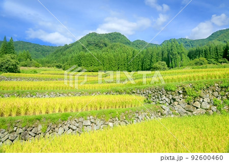 福島・三部の棚田 92600460