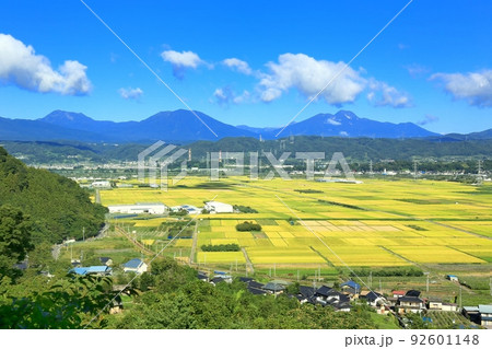 秋の延徳田んぼと北信五岳 92601148