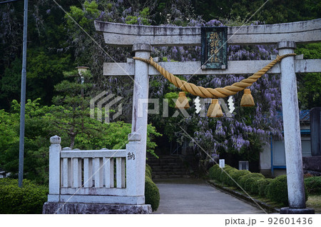 富山県氷見市 磯部神社 富山県氷見市 磯部神社 92601436