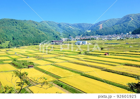 野沢温泉村の田園風景 92601925