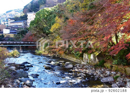 湯河原町　千歳川と鮮やかな紅葉と宿泊施設 92602188
