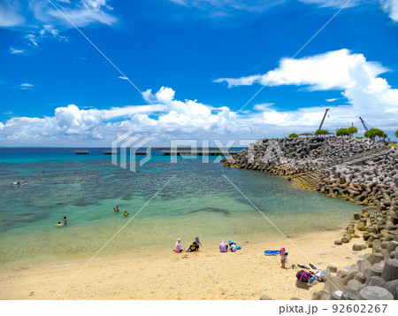 崎本部ゴリラチョップ 崎本部ゴリラチョップ 92602267