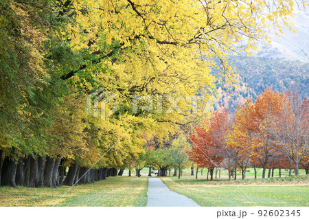 Autumn in south island newzealand Autumn in south island newzealand 92602345