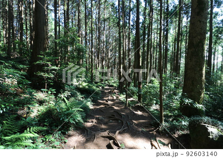 茨城県の筑波山の登山道と奇岩 92603140