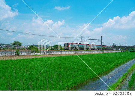 瀬戸大橋線 田園風景の中を高知から岡山へ向かう特急南風8号7 岡山県岡山市南区 瀬戸大橋線 田園風景の中を高知から岡山へ向かう特急南風8号7 岡山県岡山市南区 92603508