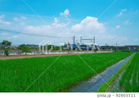 瀬戸大橋線 田園風景の中を岡山から琴平へ向かう瀬戸大橋アンパンマントロッコ1号3 岡山県岡山市南区 瀬戸大橋線 田園風景の中を岡山から琴平へ向かう瀬戸大橋アンパンマントロッコ1号3 岡山県岡山市南区 92603511