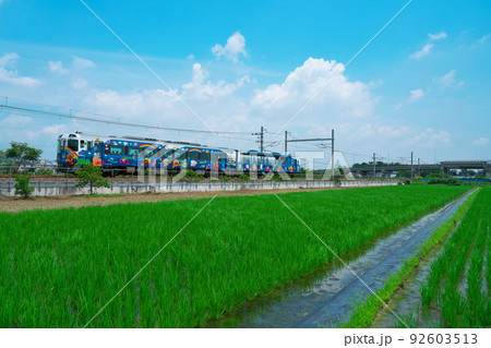 瀬戸大橋線　田園風景の中を岡山から琴平へ向かう瀬戸大橋アンパンマントロッコ1号5　岡山県岡山市南区 92603513